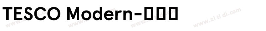 TESCO Modern字体转换